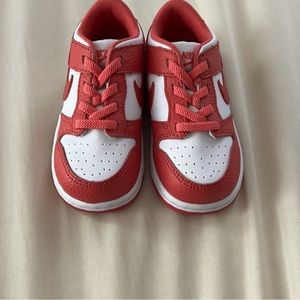 Gypsy Rose Nike Dunks Toddler Size 9